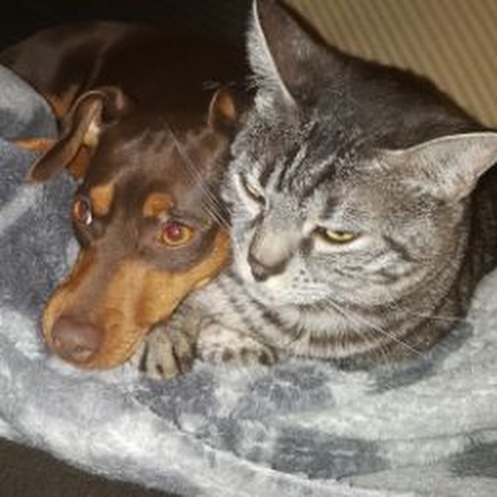 Meet your Posher, Chloe